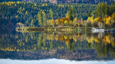 Schluchsee in autumn - Black Forrest, Germany (Manuel Paul)  [flickr.com]  CC BY-ND 
Informazioni sulla licenza disponibili sotto 'Prova delle fonti di immagine'