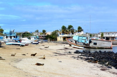 Ship aground on the beach of of Puerto Baquerizo Moreno on San Cristobal Island in the Galapagos Islands (John Solaro (sooolaro))  [flickr.com]  CC BY-ND 
Informazioni sulla licenza disponibili sotto 'Prova delle fonti di immagine'