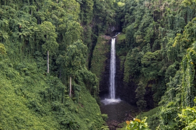 Sopoaga Falls (Andrew Moore)  [flickr.com]  CC BY-SA 
Informazioni sulla licenza disponibili sotto 'Prova delle fonti di immagine'