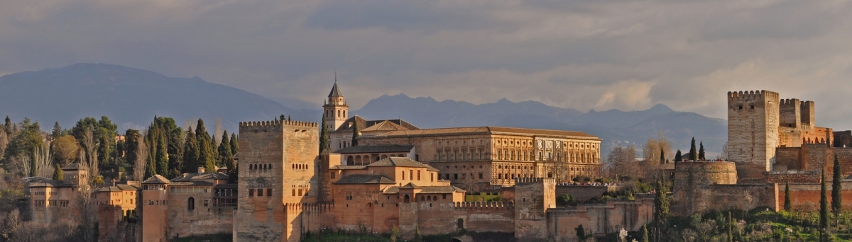Spain - Andalucia - Granada - view of Alhambra (Harshil Shah)  [flickr.com]  CC BY-ND 
Informazioni sulla licenza disponibili sotto 'Prova delle fonti di immagine'