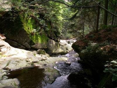 Spiegelau torrent (A3X)  [flickr.com]  CC BY-SA 
Informazioni sulla licenza disponibili sotto 'Prova delle fonti di immagine'