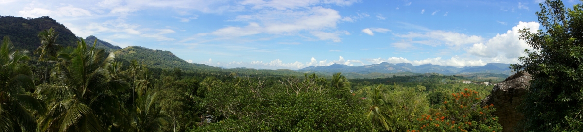 Sri Lanka Tree Top panorama (Malcolm Browne)  [flickr.com]  CC BY-ND 
Informazioni sulla licenza disponibili sotto 'Prova delle fonti di immagine'