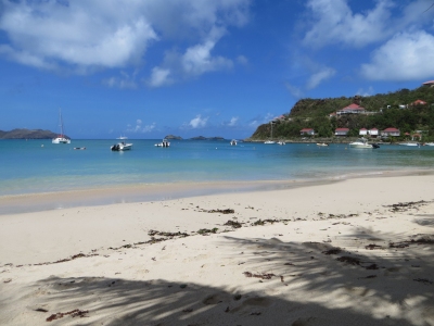 St Jean Beach, St Barths, Oct 2014 (alljengi)  [flickr.com]  CC BY-SA 
Informazioni sulla licenza disponibili sotto 'Prova delle fonti di immagine'