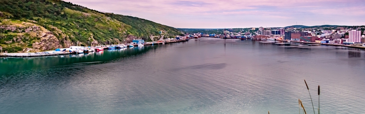 St John Harbour Newfoundland (Michel Rathwell)  [flickr.com]  CC BY 
Informazioni sulla licenza disponibili sotto 'Prova delle fonti di immagine'