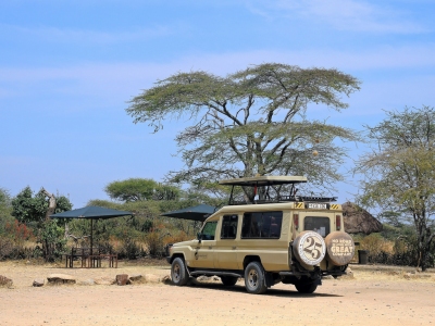 Tanzania (Serengeti National Park) Safari vehicle (Güldem Üstün)  [flickr.com]  CC BY 
Informazioni sulla licenza disponibili sotto 'Prova delle fonti di immagine'