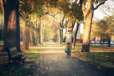 The last Biking before the winter (Lima Pix)  [flickr.com]  CC BY 
Informazioni sulla licenza disponibili sotto 'Prova delle fonti di immagine'