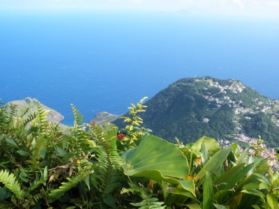 The view (Christine Warner Hawks)  [flickr.com]  CC BY 
Informazioni sulla licenza disponibili sotto 'Prova delle fonti di immagine'