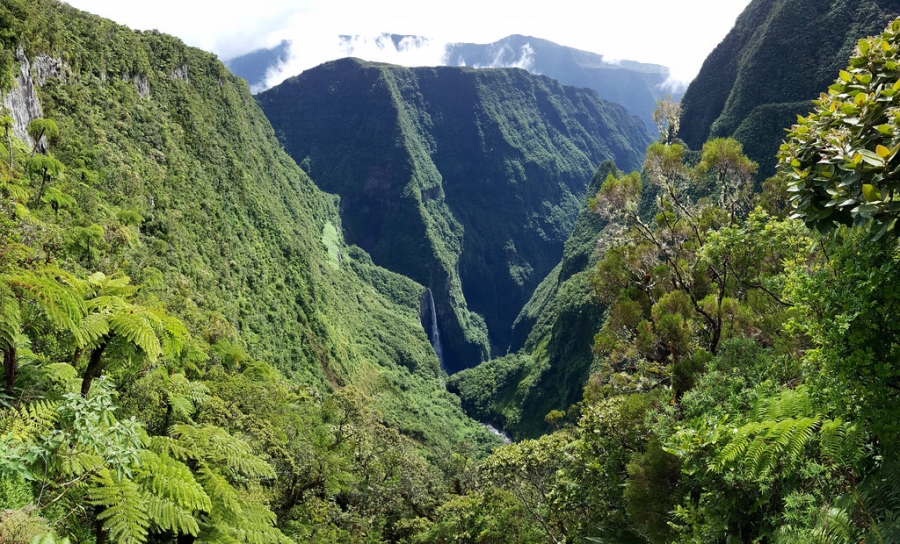 La Réunion: Quando andare? (Meteo, clima: Tabella e diagramma)