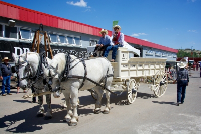 Anteprima: Calgary - Quando andare?