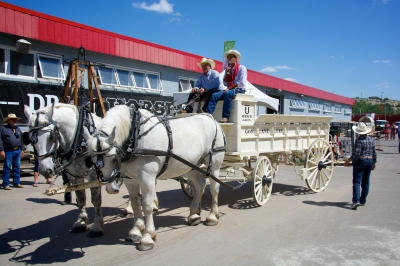 Anteprima: Calgary - Quando andare?