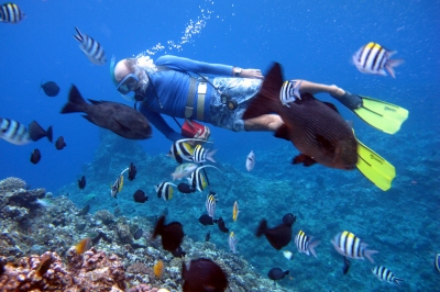 Vanuatu Scuba Diving (Roderick Eime)  [flickr.com]  CC BY 
Informazioni sulla licenza disponibili sotto 'Prova delle fonti di immagine'