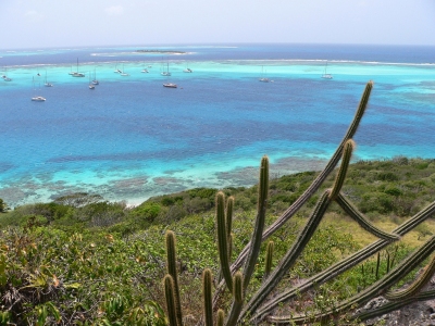 View from the Island Top (Lee Coursey)  [flickr.com]  CC BY 
Informazioni sulla licenza disponibili sotto 'Prova delle fonti di immagine'