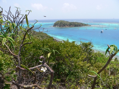 View from the Island Top (Lee Coursey)  [flickr.com]  CC BY 
Informazioni sulla licenza disponibili sotto 'Prova delle fonti di immagine'