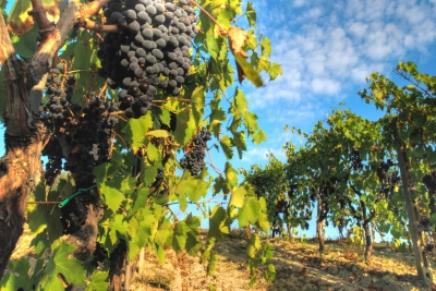 Informazioni sulla climatizzazione Toscana