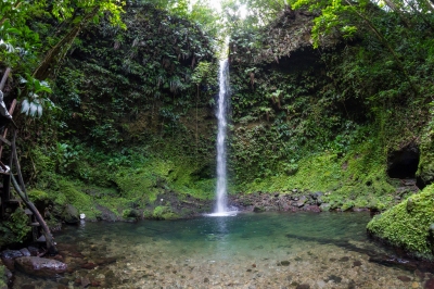 Wall to wall waterfall on Dominica (Chris Favero)  [flickr.com]  CC BY-SA 
Informazioni sulla licenza disponibili sotto 'Prova delle fonti di immagine'