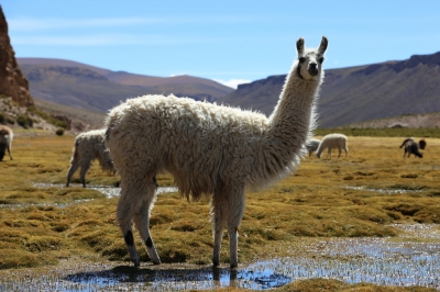 Informazioni sulla climatizzazione Bolivia